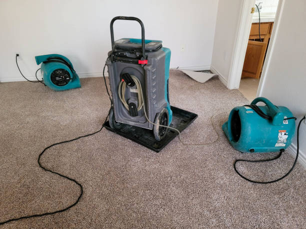 Best Carpet water damage restoration  in Whitney, TX