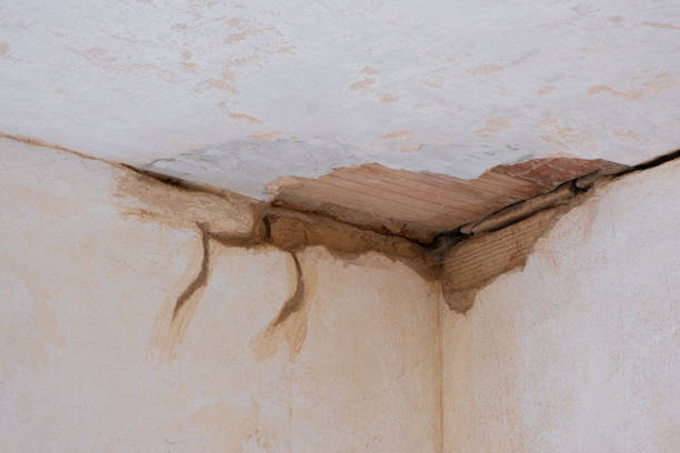 Best 24/7 water damage repair  in Whitney, TX