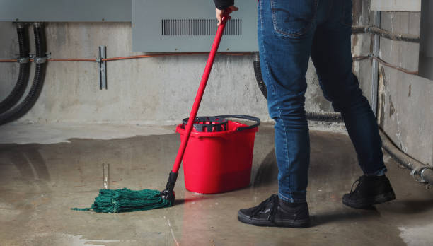 Best Ceiling water damage repair  in Whitney, TX