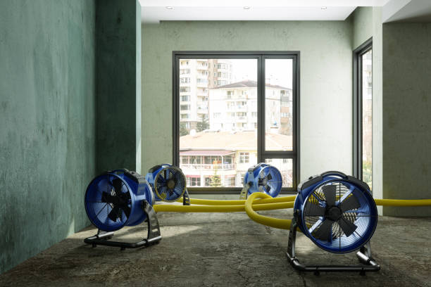 Water damage restoration process in Whitney, TX